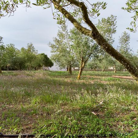 Agroturismo Malbuger Nou Menorca -Adults Only- ماهون المظهر الخارجي الصورة